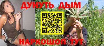 мяу мяу мука Ставрополь